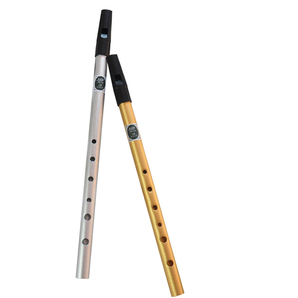 Penny Whistle D - Silbato irlandés con llave C/D, flauta