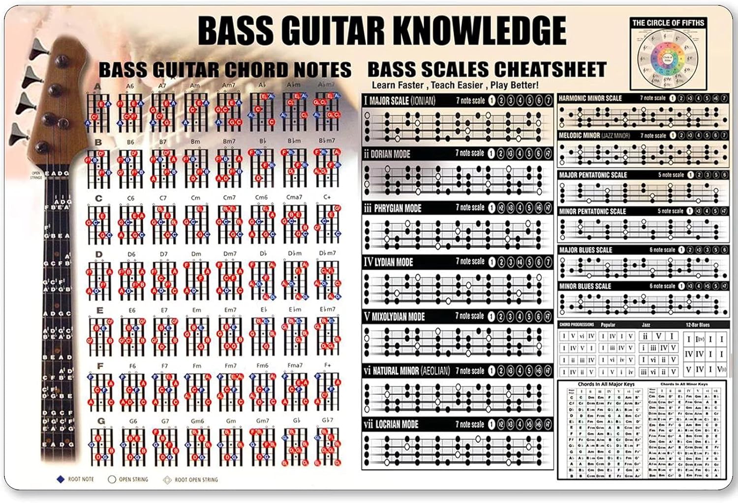 Conocimiento de bajo, letrero  - Musical Instrument Poster reseña y precio