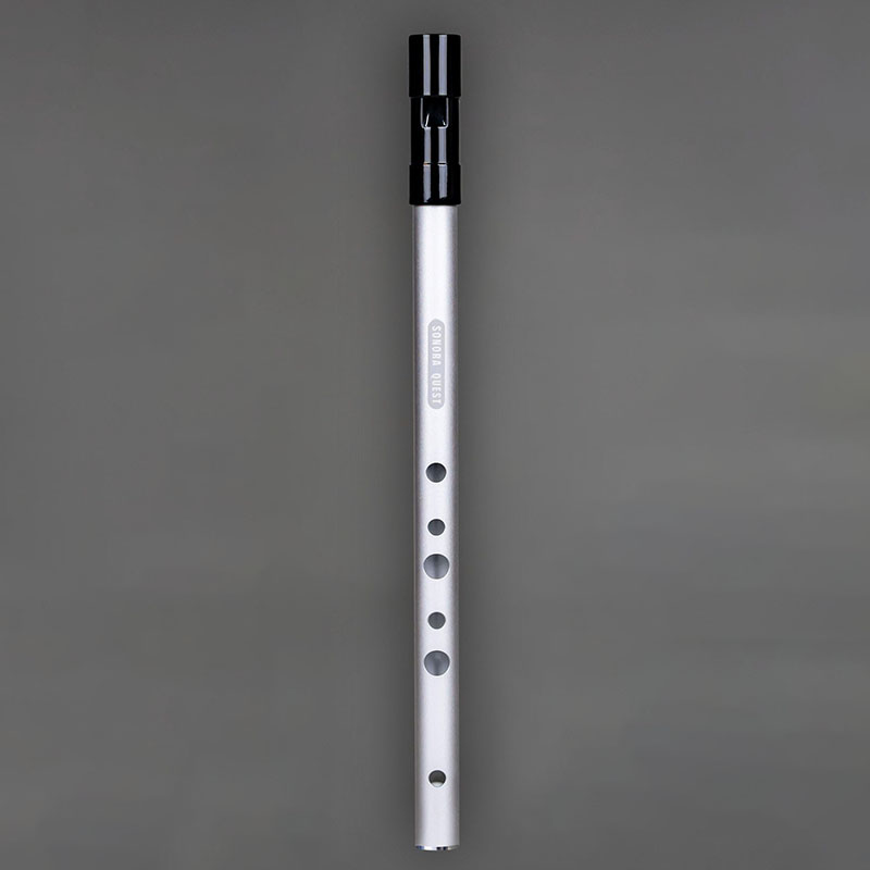 Flauta de Tin Whistle en D de  - Penny Whistle D reseña y precio