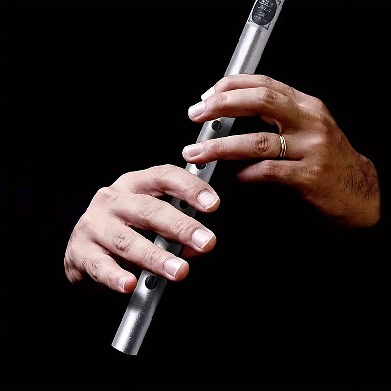 Flauta irlandesa auténtica de  - Penny Whistle D reseña y precio