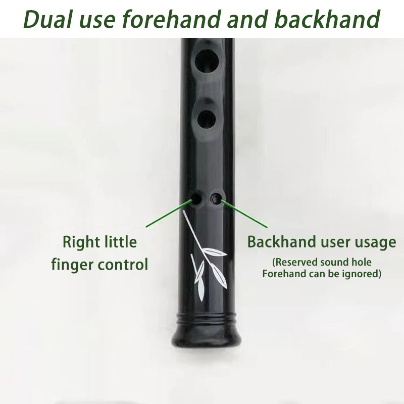 Flauta de resina tipo Penny Wh - Penny Whistle D reseña y precio