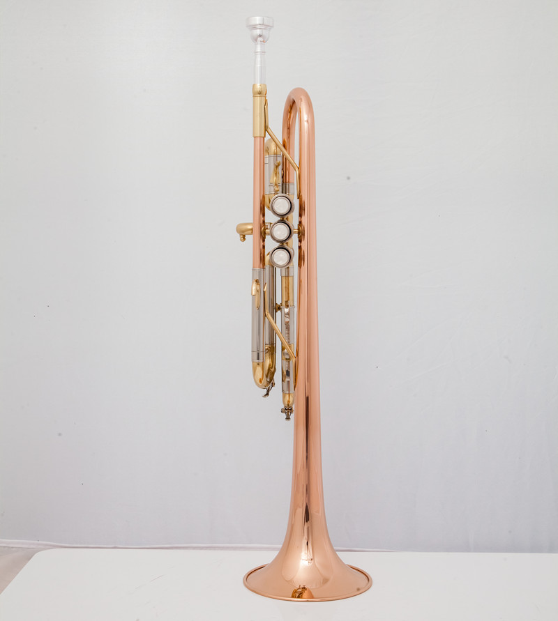 Instrumentos musicales profesi - Musical Instrument Fagot reseña y precio