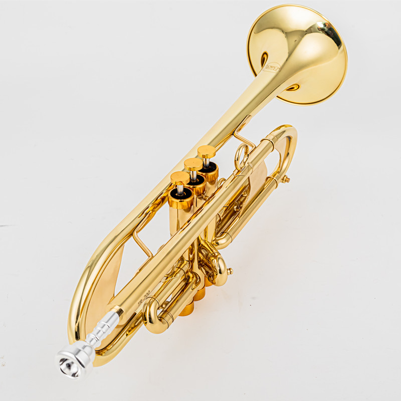 Vincent BACH 700 Bb Trompeta B - Musical Instrument Fagot reseña y precio